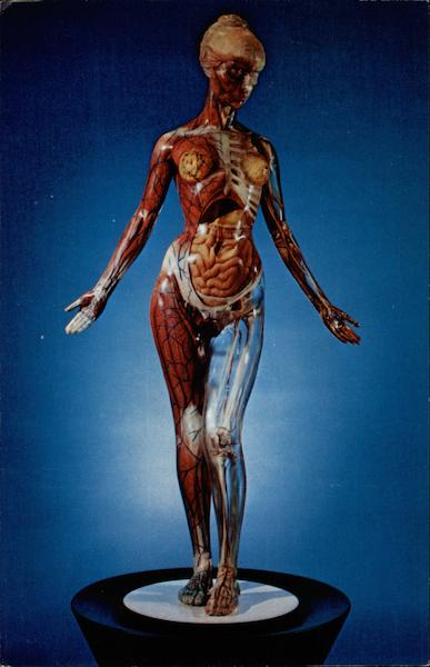 Tam comes alive at The Weller Center for Health Education Easton Pennsylvania