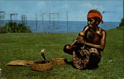 Ceylon: Snake Charmer With Cobra Postcard