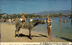 El Burro En La Playa La Roqueta (Donkey in Roqueta Beach) Gro, Mexico Postcard Postcard