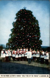 The Baltimore and Ohio's Famous "Holly Tree by the Tracks" Postcard
