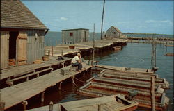 Crab Floats and Shanty Postcard