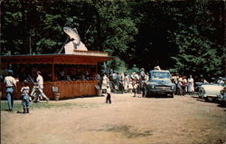 Kriss Pines Trout Hatchery Postcard