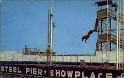 The World Famous Diving Horse Postcard