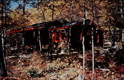 Rustic Cabin Lake Hauto, PA Postcard Postcard