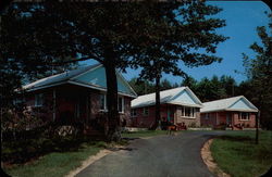 Brookdale - On - The - Lake "In the beautiful Pocono Mountains" Postcard