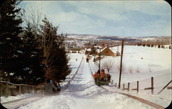 Toboggan Run Grossinger, NY Postcard Postcard