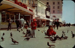 Atlantic City, N.J Postcard