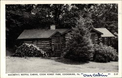 Macbeth's REstful Cabins, Cook Forest Park Postcard