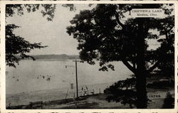 Chippewa Lake Postcard