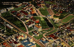 University of Cincinnati Postcard