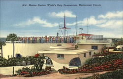 Marine Studios World's Only Oceanarium Postcard