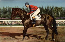 Campion Citation at Hialeah Race Course Miami, FL Horse Racing Postcard Postcard