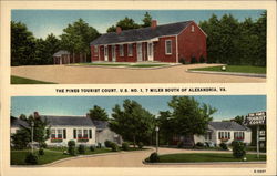The Pines Tourist Court Alexandria, VA Postcard Postcard