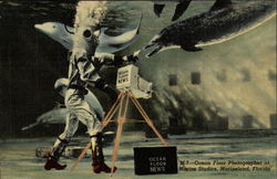 Ocean Floor Photographer at Marine Studios Postcard