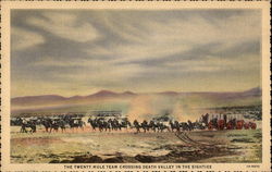 Twenty Mule Team Crossing Death Valley in the Eighties California Postcard Postcard