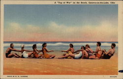 A "Tug of War" on the Beach Postcard