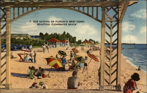 Sun Bathing on Florida's West Coast Clearwater