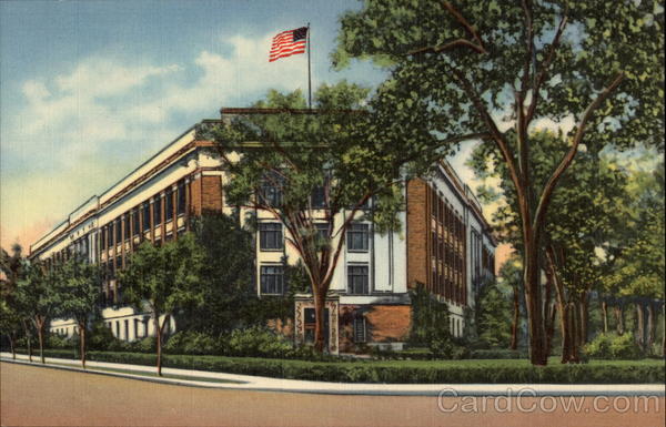 University of Michigan Museum Ann Arbor