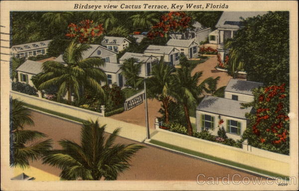 Cactus Terrace Key West Florida