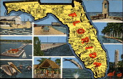 Florida Postcard Postcard