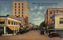 Andrews Ave. Looking North from New River Postcard