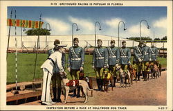 Inspection before a race at Hollywood Dog Track Postcard
