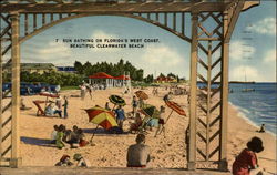 Sun Bathing on Florida's West Coast Postcard