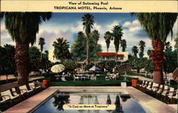 View of Swimming Pool - Tropicana Motel Postcard