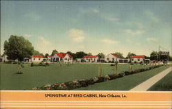 Springtime at Reed Cabins New Orleans, LA Postcard Postcard