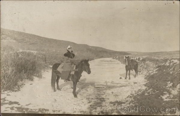 Woman and two horses in the snow