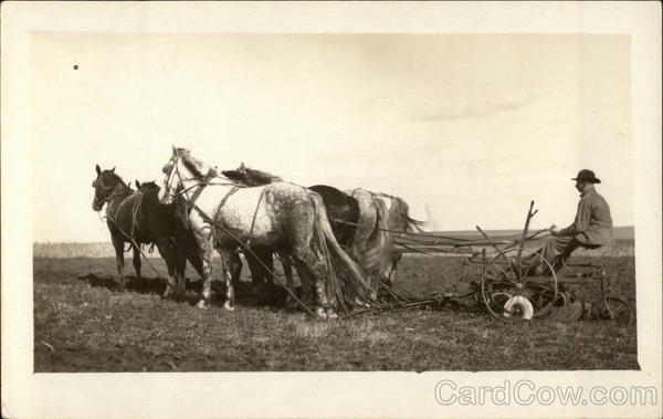 Ploughing Scene Farming