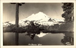 Mt. Baker Scenic, WA Postcard Postcard