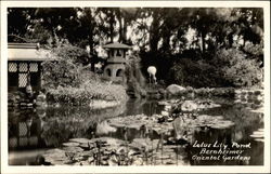 Lotus Lily Pond Bernheimer Oriental Gardens Postcard