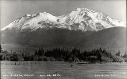 Mt. Shasta Postcard