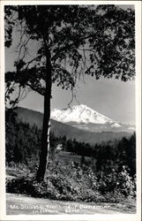 Mt. Shasta from Near Dunsmuir Postcard