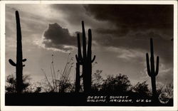 Desert Sunet Salome, AZ Postcard Postcard