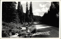 Spearfish Canyon Black Hills, SD Postcard Postcard