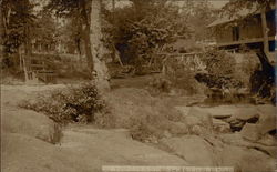 At Jackson Springs Postcard