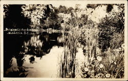 Buiharts Garden Postcard