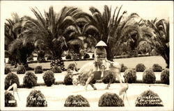 Man on water buffalo at Bernheime Residence Postcard
