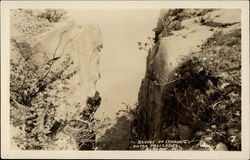 Ravine at Lookout on the Palisades Alpine, NJ Postcard Postcard
