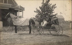 A Horse and a Carriage Postcard