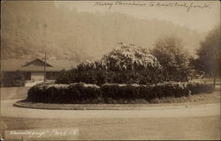 Vandergrift Park Pennsylvania Postcard Postcard