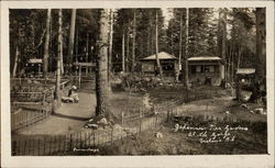 japanese Tea Gardens at the Gorge Postcard