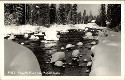 Payette River Postcard