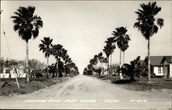 Tropical View Port Isabel, TX Postcard Postcard