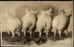 1911 Pigs Tails A happy new year New Year's Postcard Postcard