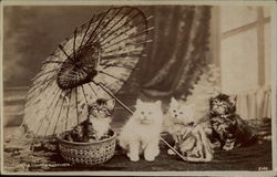 "Here comes mother" Postcard