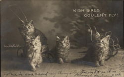 Kittens Wish Bird Couldn't Fly! Postcard