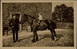 Father and Son who is riding a horse Postcard